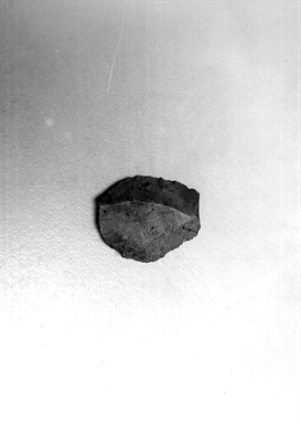 scheggia levallois